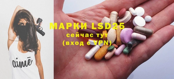 кристаллы Гусь-Хрустальный