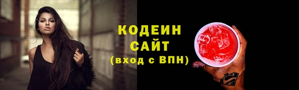 стаф Гусев