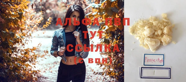 стаф Гусев