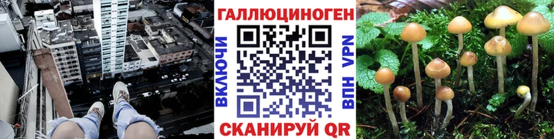 Псилоцибиновые грибы мухоморы  дарнет шоп  Черкесск 